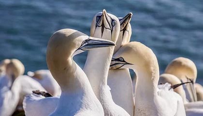 开云体育下载-联赛公平竞争机制加强弱队也有逆袭可能，想要提升联赛竞争力